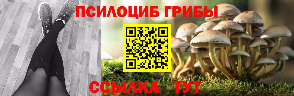 Псилоцибиновые грибы Magic Shrooms  как найти наркотики  Вход с VPN  Рассказово  Галлюциногенные грибы GOLDEN TEACHER 